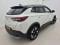 preview Opel Grandland X #1