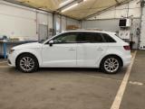 AUDI A3 Sportback SP B ATTR 1 6 TDI 105 HP 6V #4