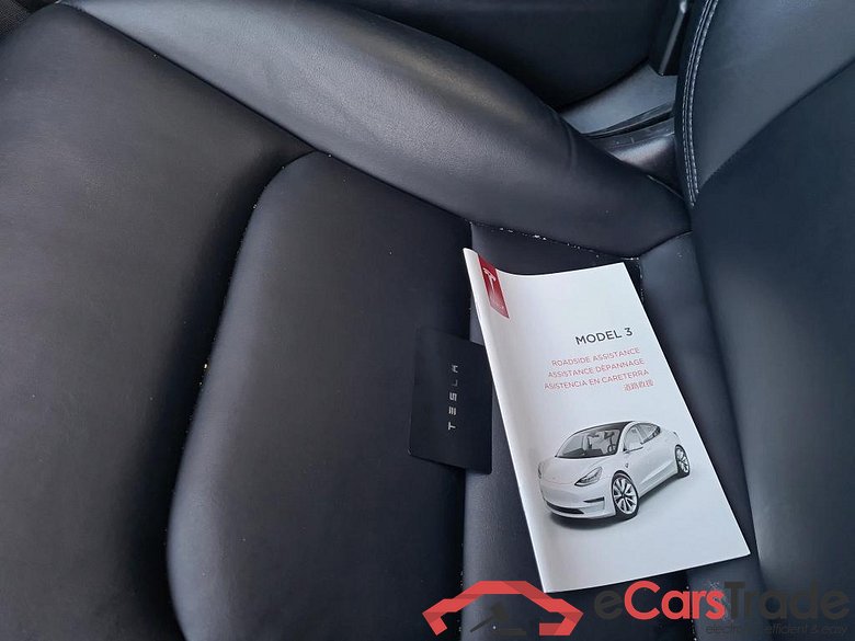 Tesla Model 3  #6