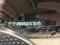 preview Renault Clio #5