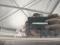 preview Citroen C4 #5