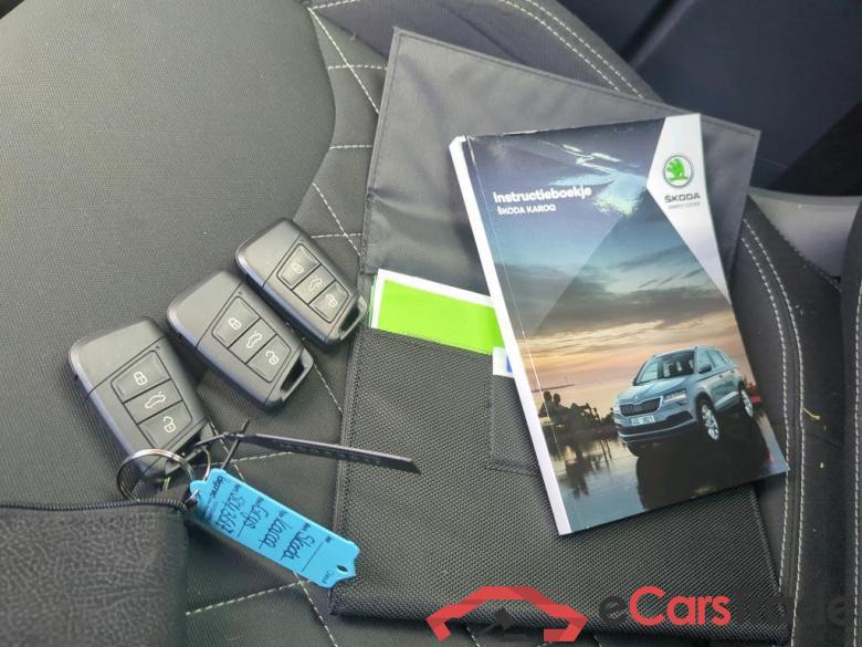 SKODA Karoq 110 kW #6
