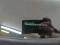 preview Volkswagen Golf #2