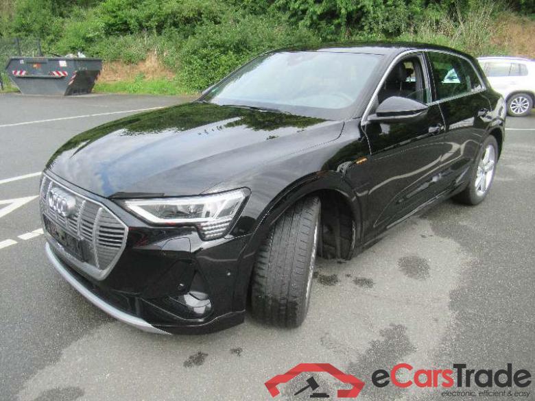 Audi e-tron (GEN)(01.2019->) DE - SUV5 50 quattro, S line, 2019 - 2023 #1