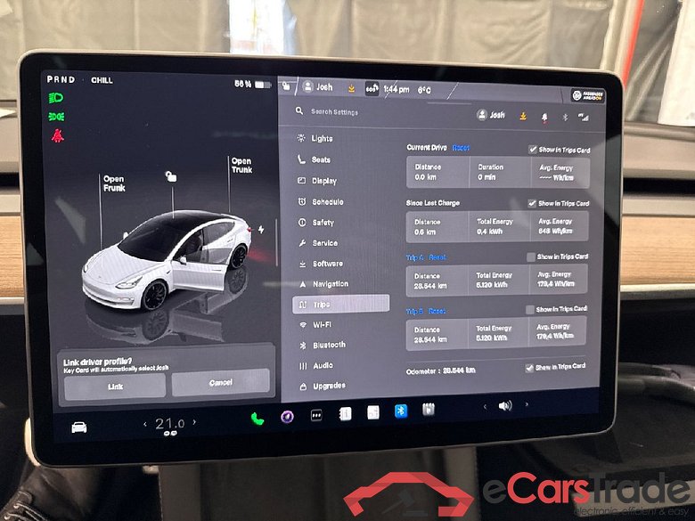 TESLA Model 3 Langstreckenbatt. Allradantrieb Dual Motor Performance 4d 393kW #6