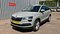 preview Skoda Karoq #0