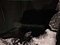 preview Volvo XC40 #5