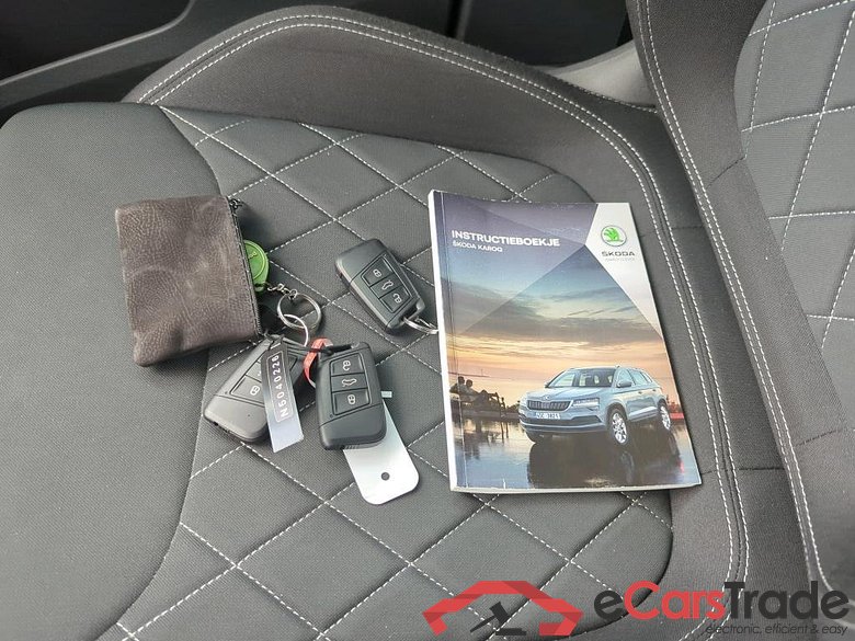SKODA Karoq 110 kW #6