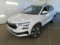 preview Skoda Karoq #0