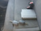 preview Opel Vivaro #3