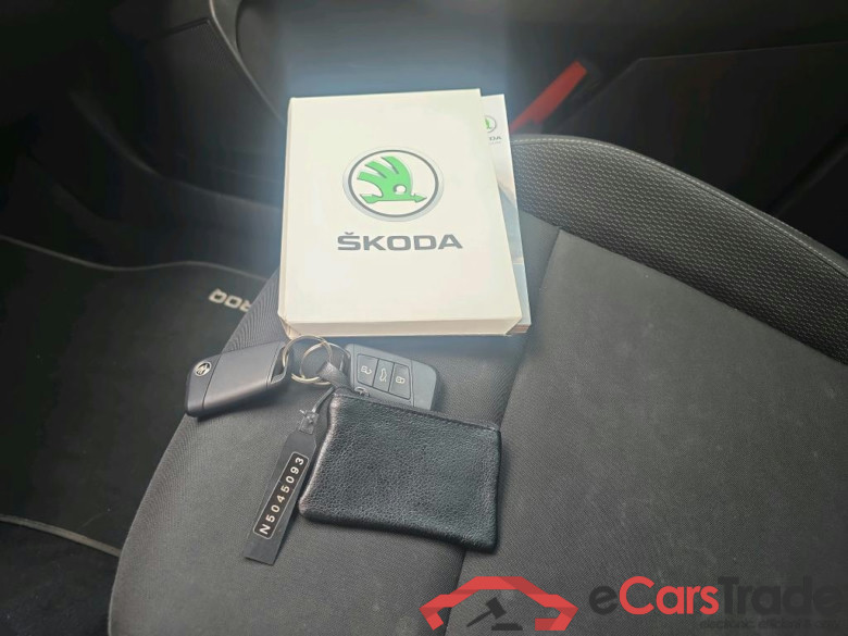 SKODA Karoq 110 kW #6